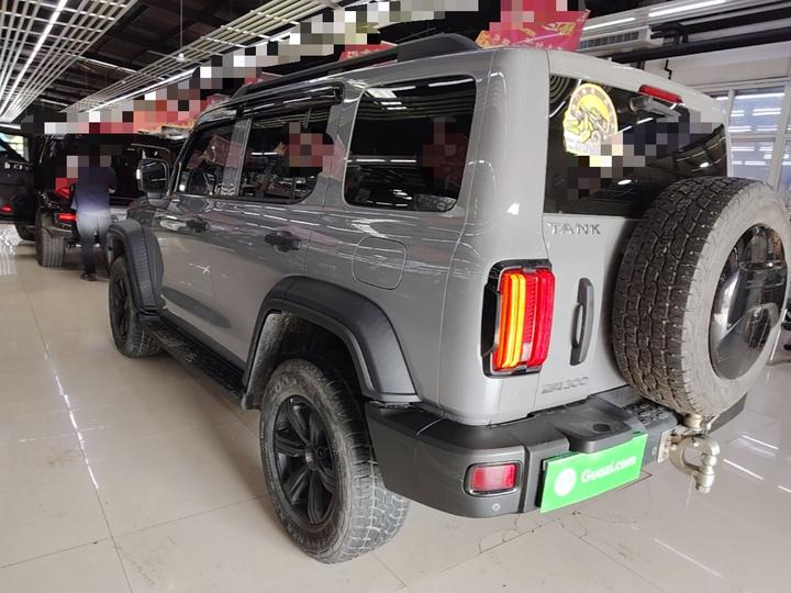 300 2021 Off-road 2.0T Conqueror photo 4