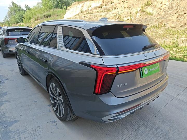 E-HS9 2022 660km 4-Seater photo 4