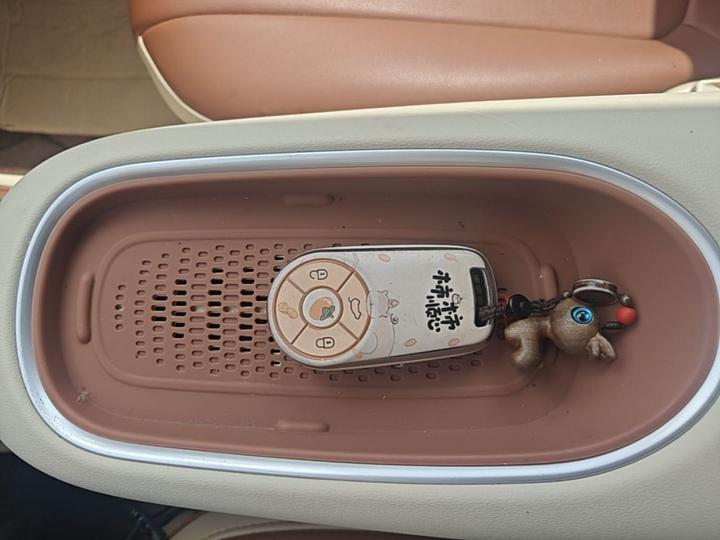 Good Cat 2024 401km Luxury photo 8