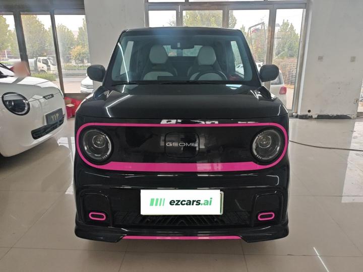 2025 210km Panda photo 2