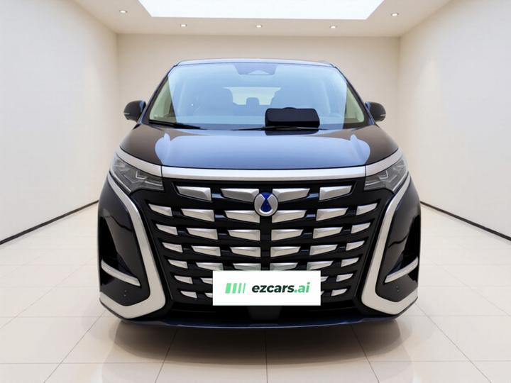 D9 2022 DM-i 970 AWD Noble photo 2