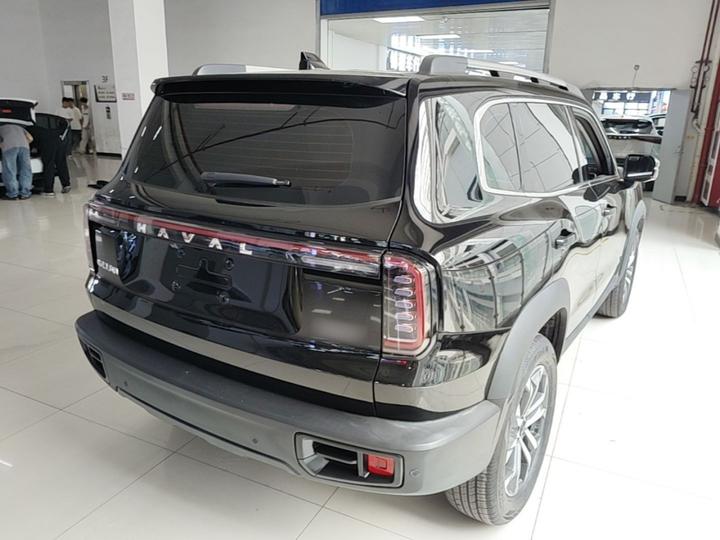 Dargo 2024 1.5T DCT photo 6