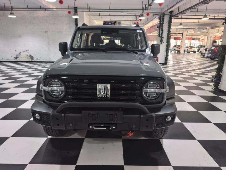 300 2021 Off-road 2.0T Conqueror photo 2
