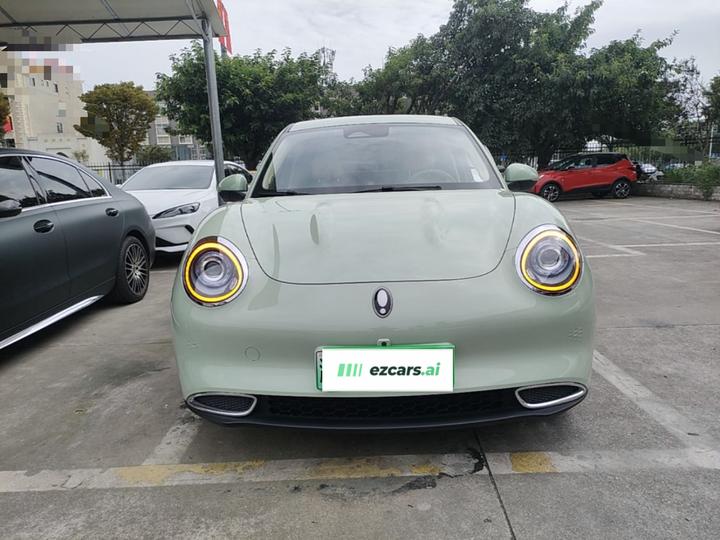 Good Cat 2023 401km Standard Range Luxury LFP photo 2