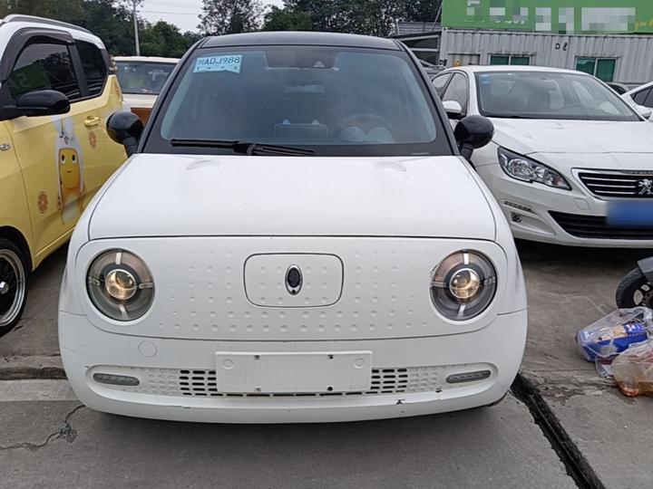 2021 351km Luxury photo 2