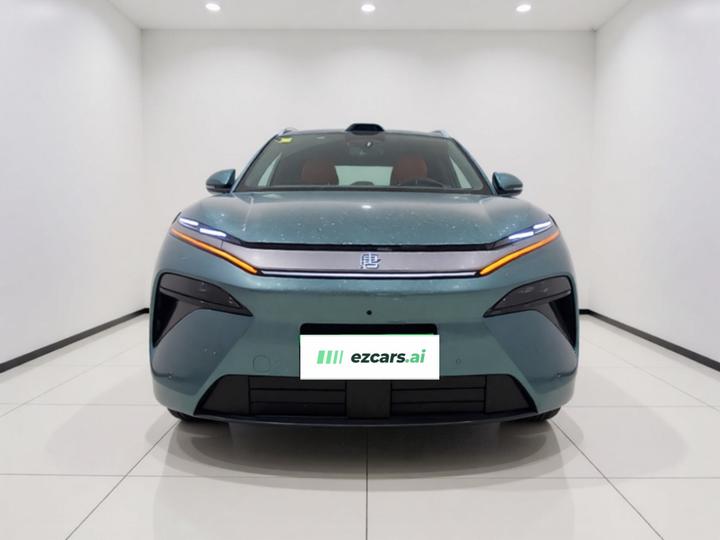 Tang L 2025 DM 175KM photo 2
