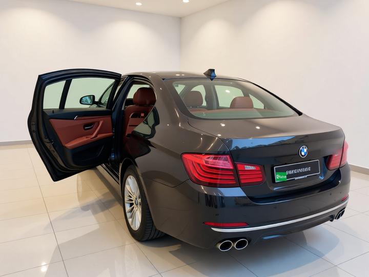 5 Series 2014 525Li Leading photo 4