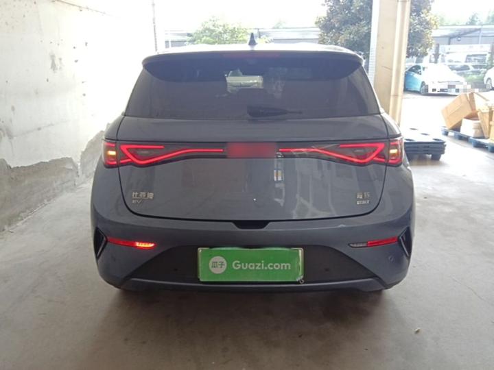 Dolphin 2025 ADAS 420km photo 3