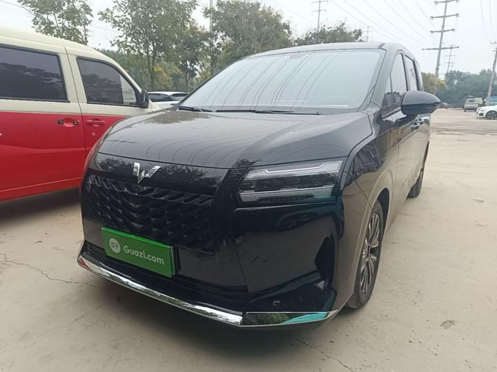 730 EV 2025 125km Luxury