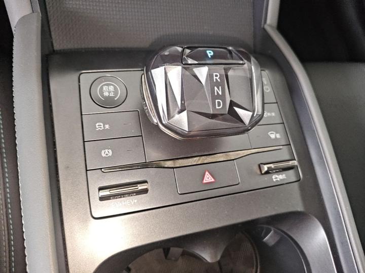 Qin L 2024 DM-i 80KM photo 8