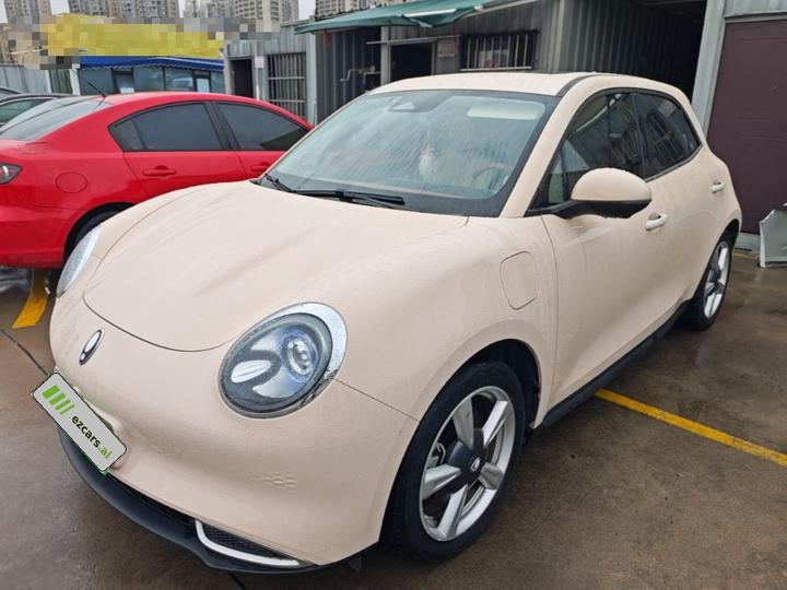 Good Cat 2023 401km Standard Range Luxury LFP