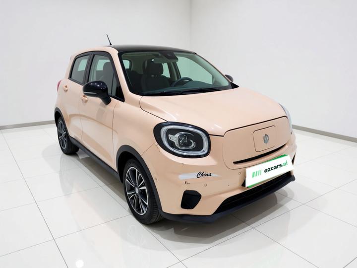 Leapmotor T03 2021 400 Luxury photo 3