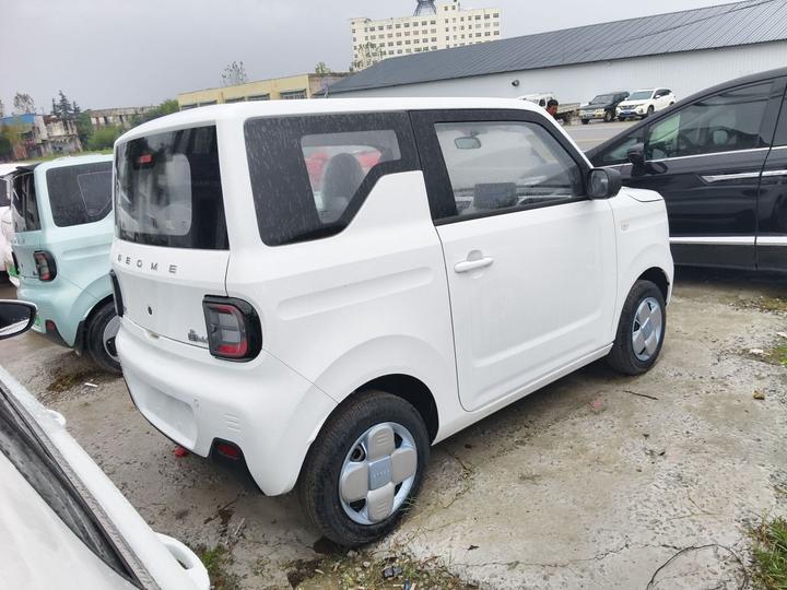 2024 Panda mini 200km Endurance Bear photo 4