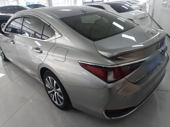 ES 2018 300h Excellence China V photo 4