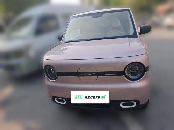 2025 Panda mini 210km Yuan photo 2