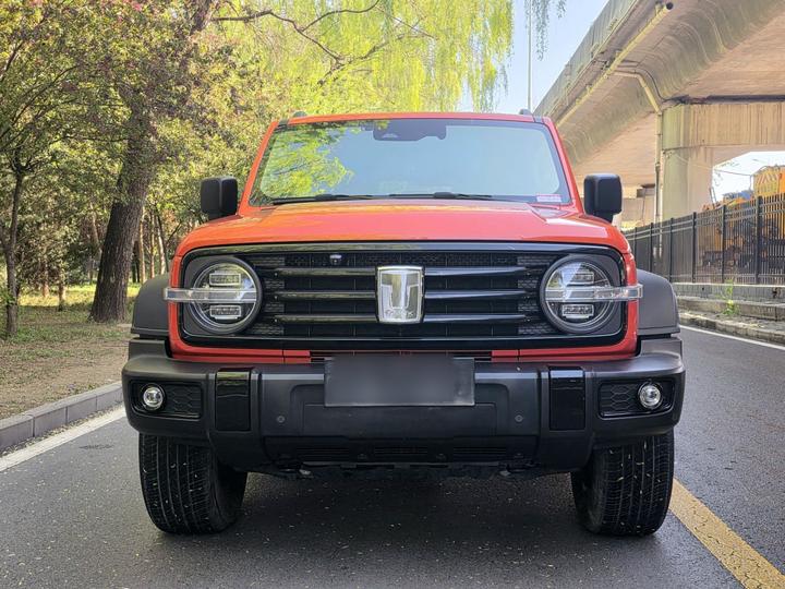 300 2023 Off-road 2.0T Conqueror photo 2