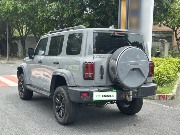 300 2021 Off-road 2.0T photo 2