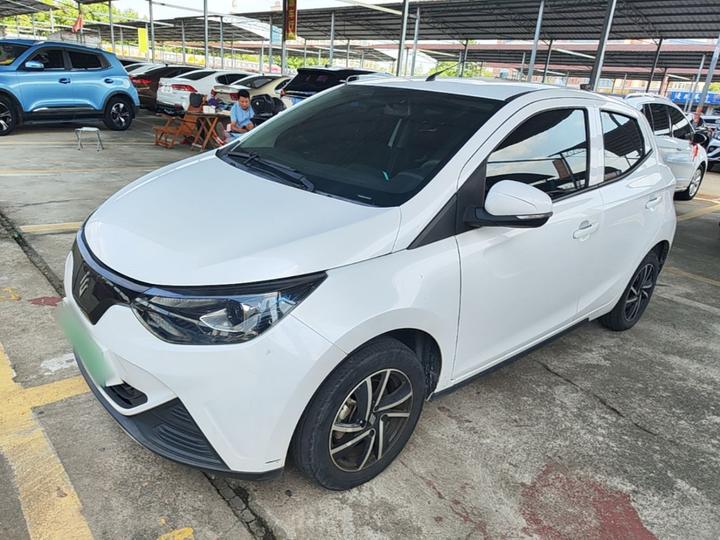 EV EV2 2023 201km Luxury