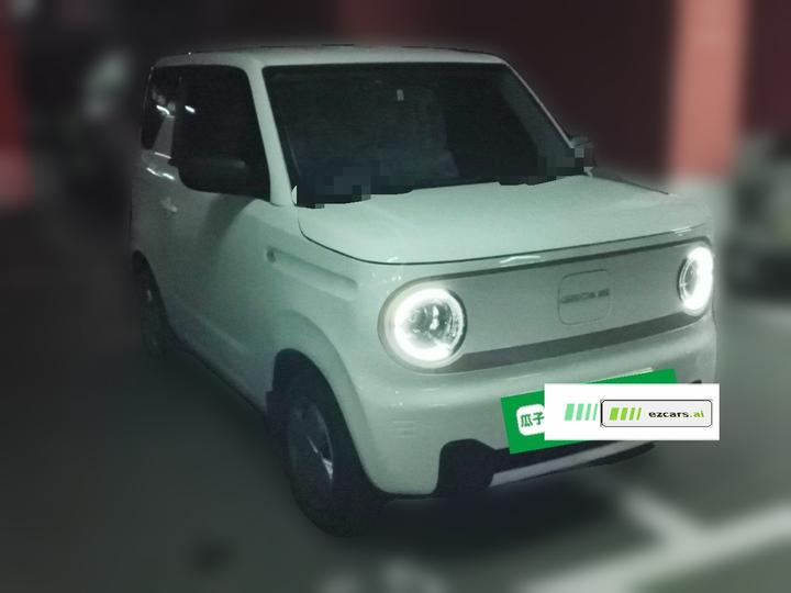 2024 Panda mini 200km Endurance Bear photo 3