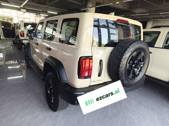 300 2025 2.0T Petrol Conqueror photo 4
