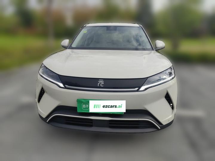 Yuan UP 2025 301KM Pilot photo 2