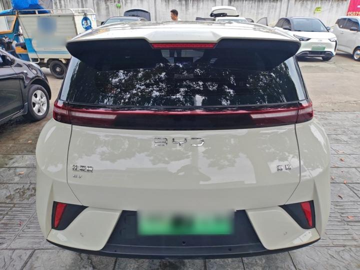 Seagull 2025 ADAS 305km photo 3