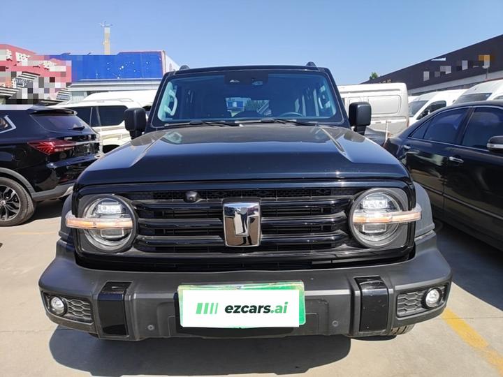 300 2024 2.0T Conqueror photo 2