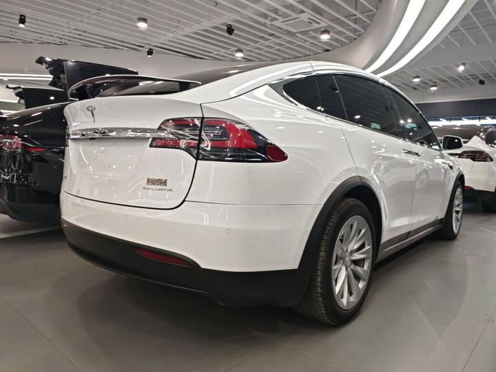 Model X 2019 Standard Range photo 4