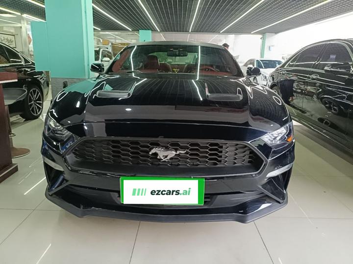 Mustang Parallel Import photo 2