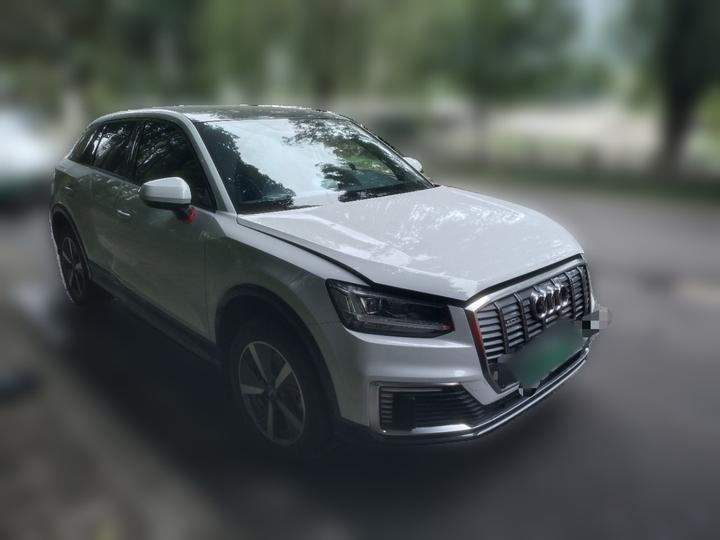 Q2L e-tron 2019 Q2L e-tron EV Smart photo 3