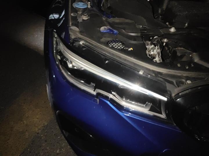 3 Series 2020 325Li M Sport Package photo 7