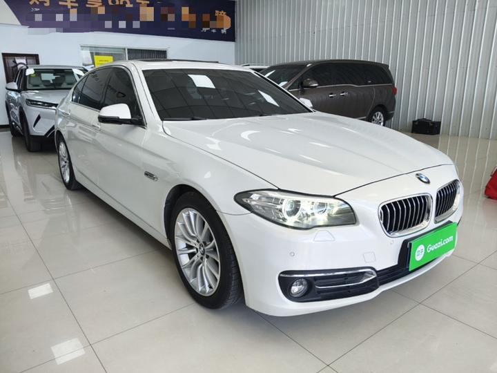 5 Series 2017 525Li Luxury Design Package photo 3
