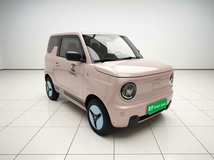 2024 Panda mini 200km Endurance Bear photo 3