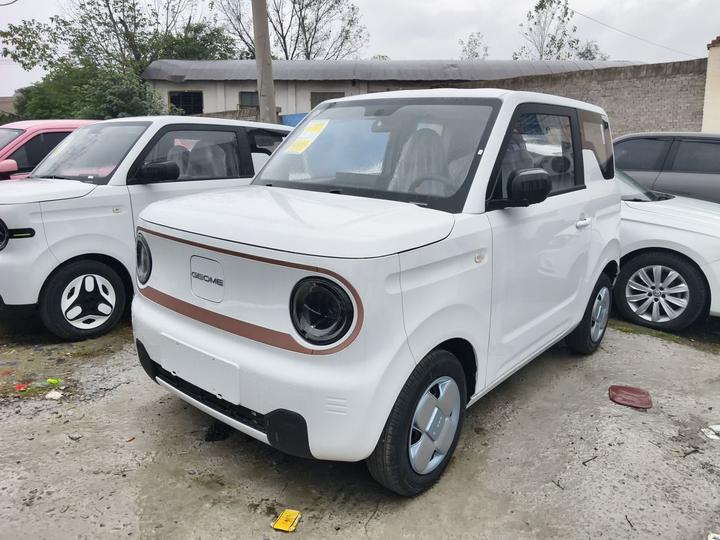 2024 Panda mini 200km Endurance Bear