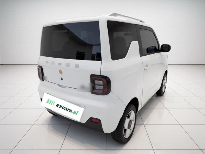 2024 Panda mini 200km Endurance Bear photo 6