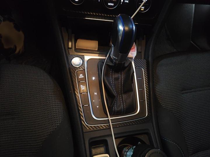 Golf EV 2020 photo 6