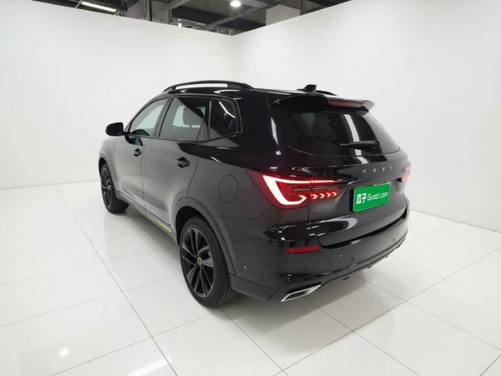 RX5 eMAX 2020 500PHEV 4G Luxury photo 4