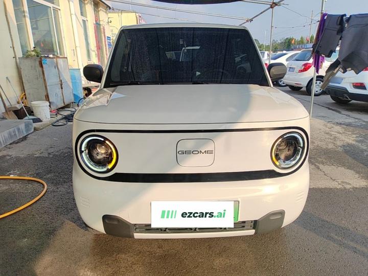 2024 Panda mini 200km Endurance Bear photo 2