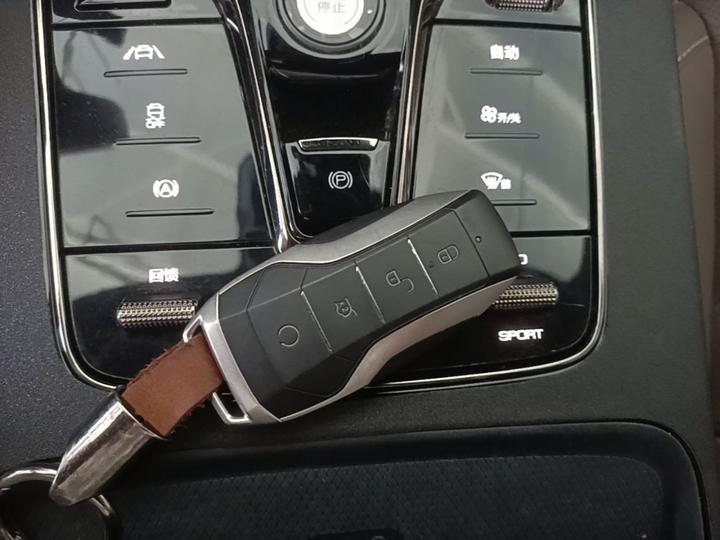 Han 2020 EV Extended Range Luxury photo 8