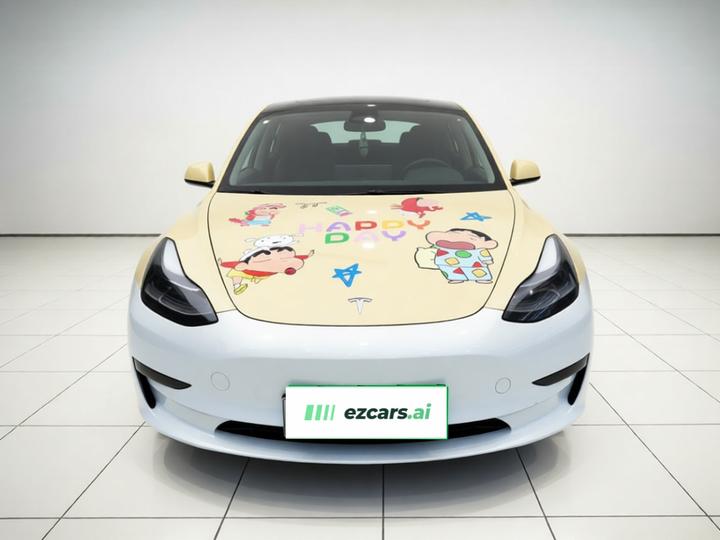 Model 3 2022 RWD photo 2