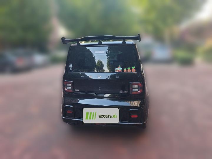 2025 210km Panda photo 3