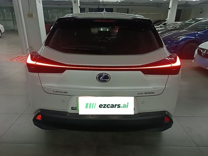 UX EV 2020 300e photo 3