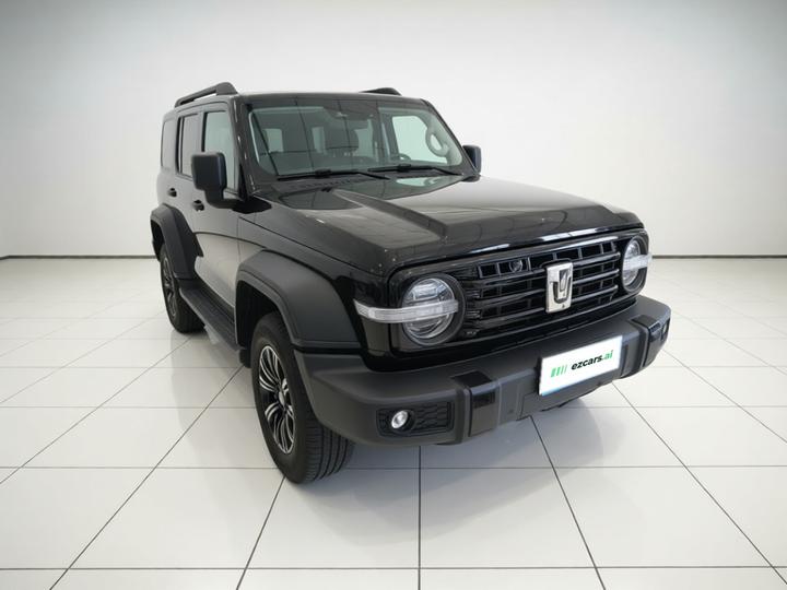 300 2025 2.0T Petrol Conqueror photo 3