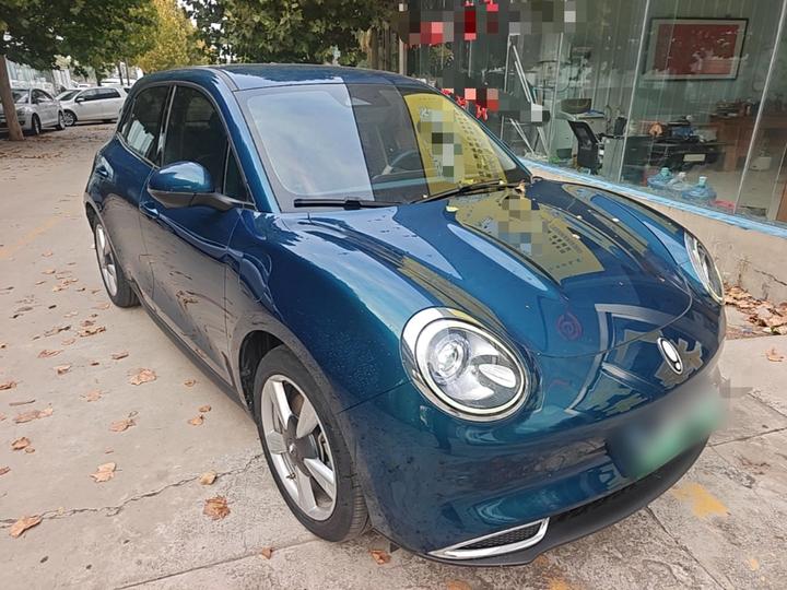 Good Cat 2022 400km Standard Range Luxury LFP photo 3