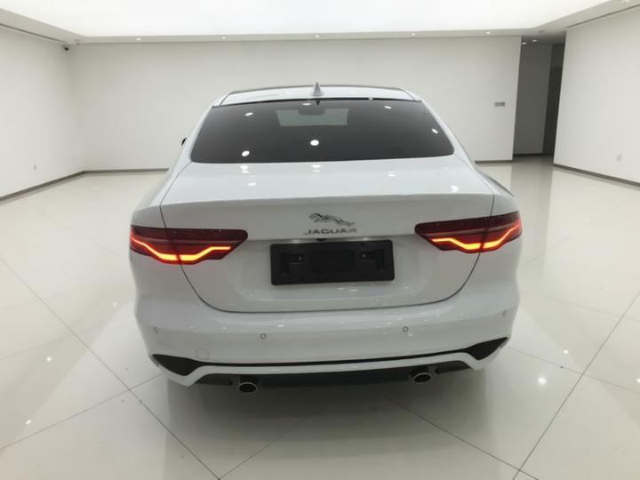 XEL 2020 2.0T 200PS R-DYNAMIC Sport photo 5