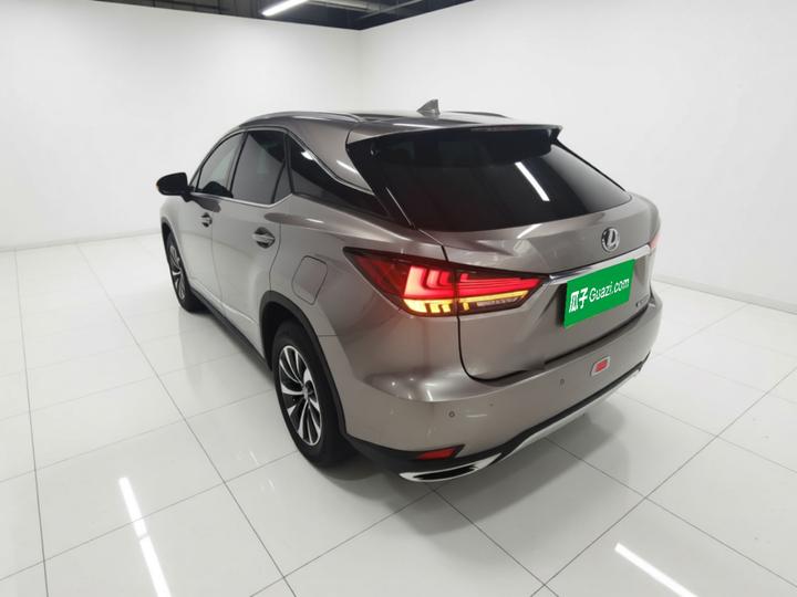 RX 2020 Facelift 300 RWD Elite photo 4