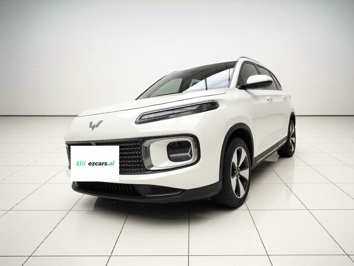 Wuling 2023 2.0L DHT Flagship