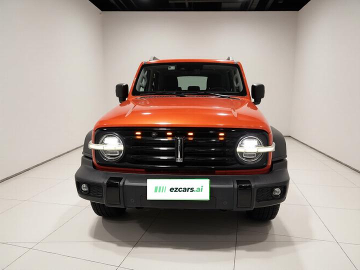 300 2021 Off-road 2.0T Conqueror photo 2