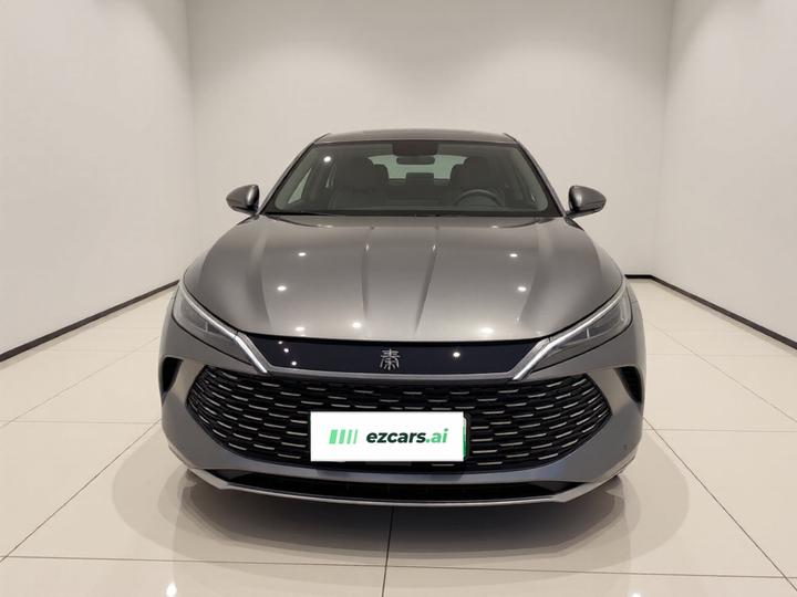 Qin L 2024 DM-i 80KM photo 2