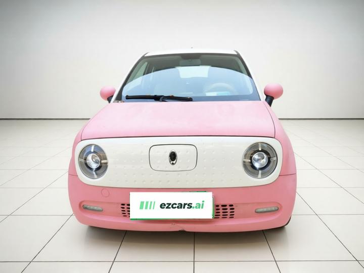 2021 351km Standard photo 2